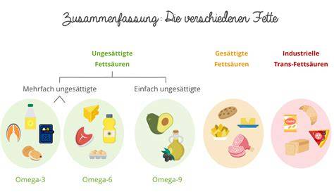 Vergleich verschiedener Fette und deren Herkunft