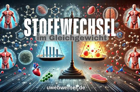 Vergleichstabelle: Gängige Zuckerersatzstoffe und Wirkung auf den Stoffwechsel