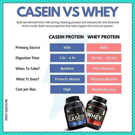 Vergleichstabelle: Whey Isolat vs. Casein vs. Erbsenprotein