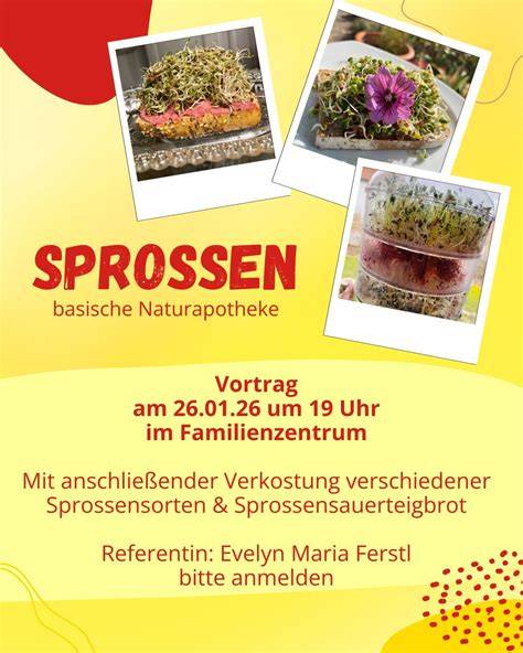 Verkostung verschiedener Haselnuss-Schokoladen