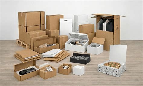 Versandverpackung mit Kühlpads