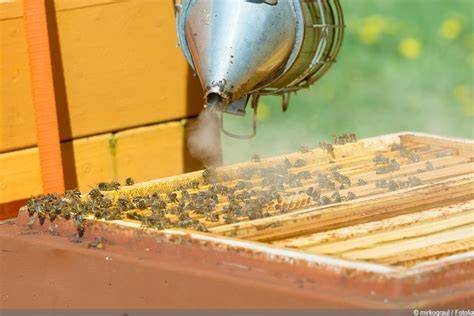 Verschiedene Beutensysteme für die Bienenhaltung