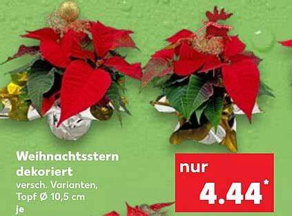 Verschiedene Biskuitrollen-Varianten dekoriert