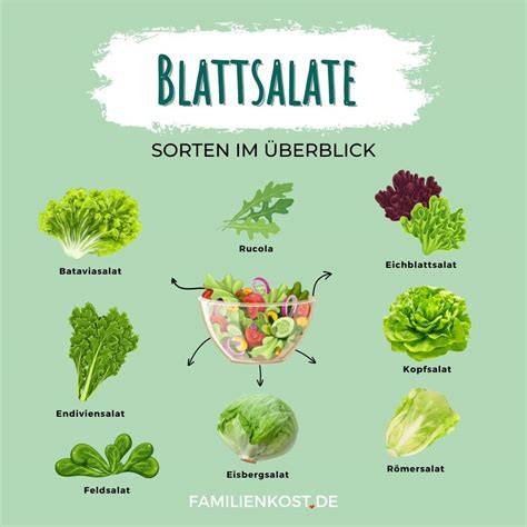 Verschiedene Blattsalate und Gemüse für Salat