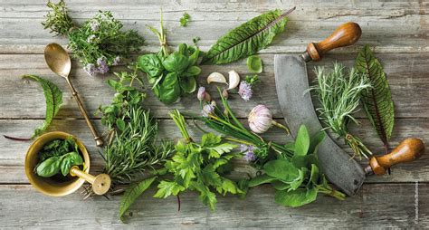 Verschiedene Essigsorten und Kräuter als Dressing-Zutaten
