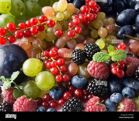 Verschiedene Fruchtsorten: Brombeeren, Heidelbeeren, Himbeeren