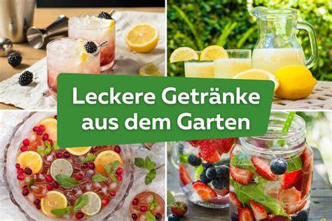 Verschiedene Getränke aus dem Heißgetränke-Spender