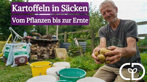 Verschiedene Glückskeks-Varianten im Vergleich