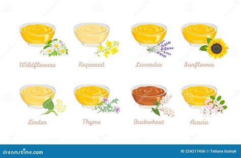 Verschiedene Honigsorten: Pinie, Eiche, Thymian, Orange