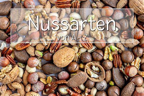 Verschiedene Nusssorten für die Schichttorte