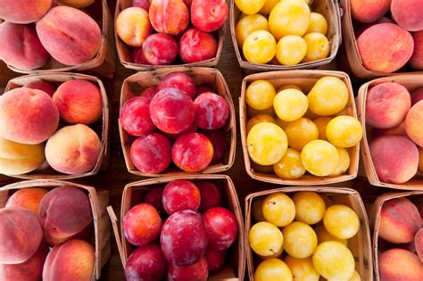 Verschiedene Pflaumensorten zur Marmeladenherstellung