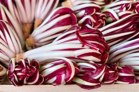 Verschiedene Radicchio-Sorten mit farbenfrohen Blättern