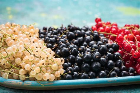 Verschiedene Sorten von Johannisbeeren