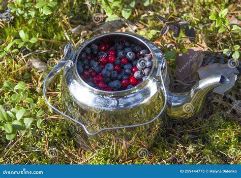 Verschiedene Sylt-Sorten mit wilden und kultivierten Beeren