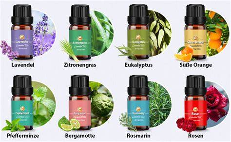 Verschiedene Thymianprodukte: Tee, ätherisches Öl, Hustensaft