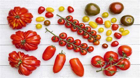 Verschiedene Tomatensorten und Verwendungsarten