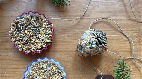 Verschiedene dekorierte Vogelfutter-Kuchen