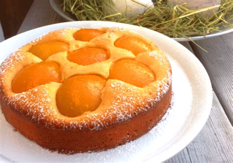Versunkener Aprikosenkuchen in 18 cm Springform
