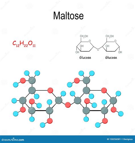 Verwendung von Maltose in verschiedenen Lebensmitteln