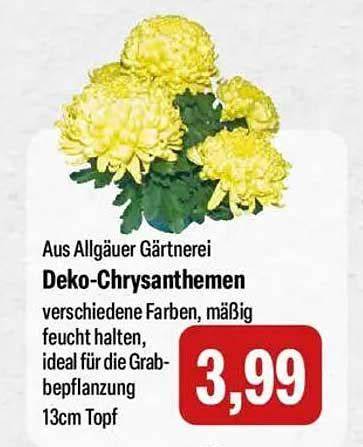 Vielfältige Deko- und Fruchtideen für Käse-Sahne-Torten