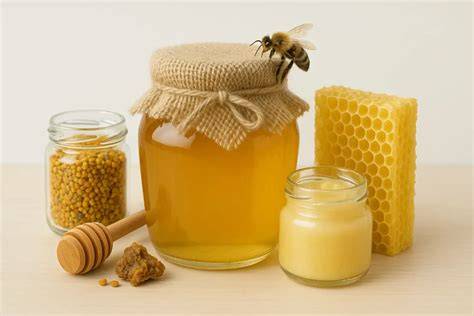 Vielfalt der Bienenprodukte