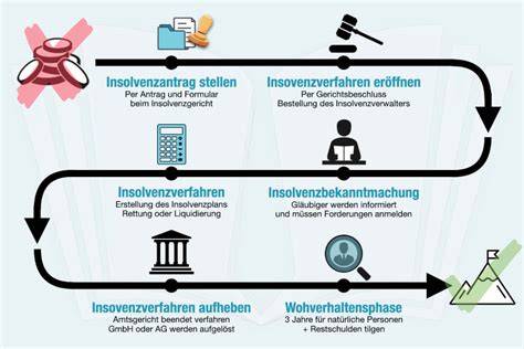 Visualisierung: Verlauf des Insolvenzverfahrens Heinz Hoenig