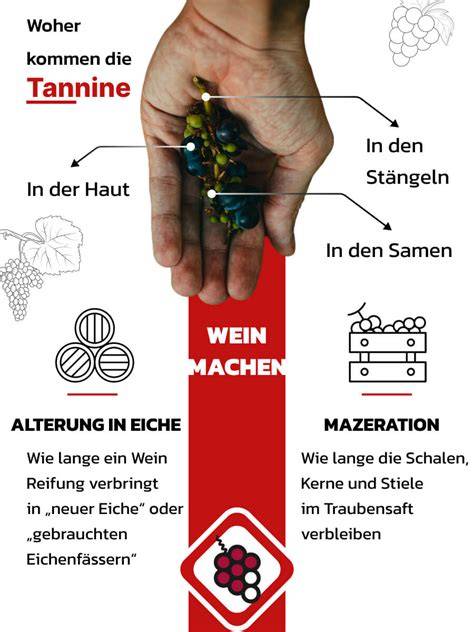 Visualisierung der Idealkombinationen: Süden-Rebsorten, Tannine, Barrique-Einfluss
