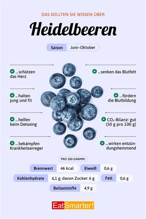 Vitamine und Mineralstoffe in Heidelbeeren (Infografik)