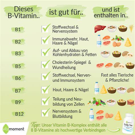 Vitaminschema: Gehalt verschiedener B-Vitamine im Vergleich