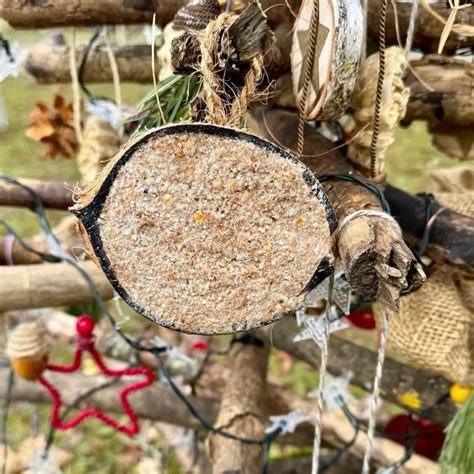 Vogelfutter-Kekse in verschiedenen Formen am Baum aufgehängt