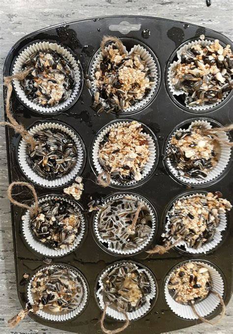 Vogelfutter-Muffins in Papierförmchen