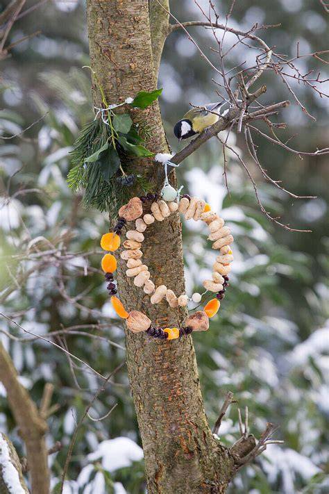 Vogelkekse am Futterplatz im winterlichen Garten