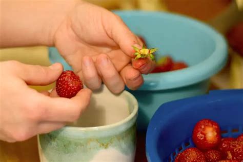 Vorbereitung von Erdbeeren und Spießen