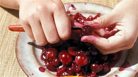 Vorbereitung von Früchten: Erdbeeren halbieren, Kirschen entkernen, Mandarinen abtropfen