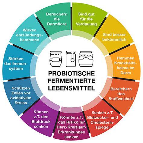 Vorteile fermentierter Lebensmittel - Infografik
