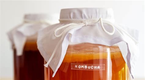 Vorteile und Risiken von Kombucha zusammengefasst