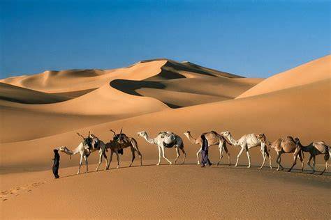 Wüste mit Sanddünen und Kamelkarawane