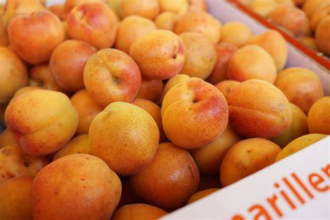 Wachauer Marillen auf dem Markt