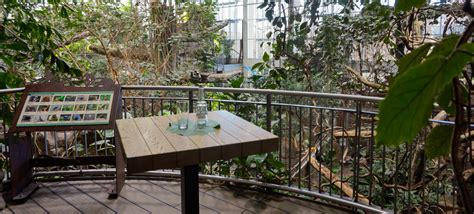 Waffelgarten im Zoologischen Stadtgarten Karlsruhe