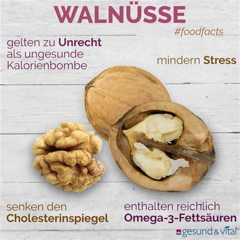 Walnüsse und ihre Nährstoffe (Illustration: Omega-3, Vitamine, Ballaststoffe)