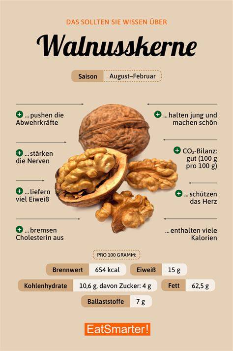 Walnuss Nährwert-Inhaltsstoffe - Infografik