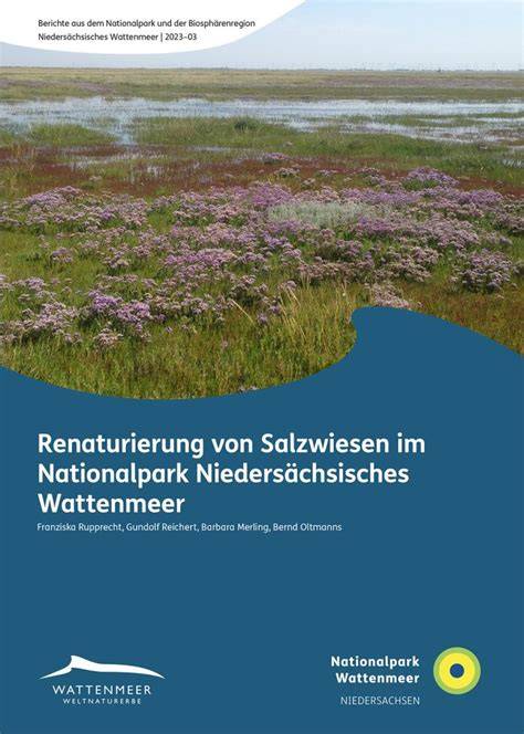 Wanderweg durch die blühenden Salzwiesen zum Nationalpark Wattenmeer