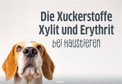 Warnhinweise: Xylit bei Haustieren und Verdauungsbeschwerden