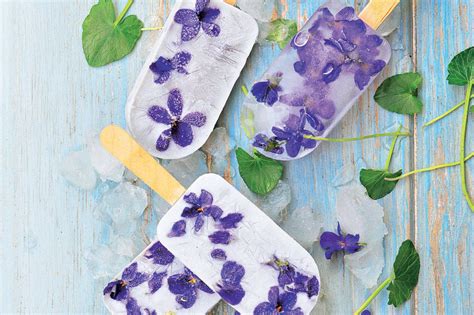 Wassereis mit Blüten und Früchten