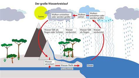 Wasserkreislauf und Dampfbildung