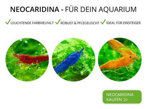 Wasserwerte und Aufhärtesalz für Neocaridina