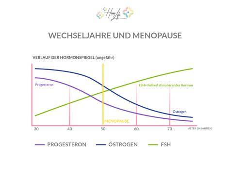 Wechseljahre, Zucker und Hormonbalance - Übersichtsgrafik