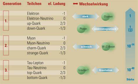 Wechselwirkungs-Übersicht