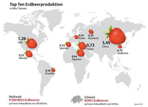 Weg-Karte Erdbeeren Herkunft / Transport