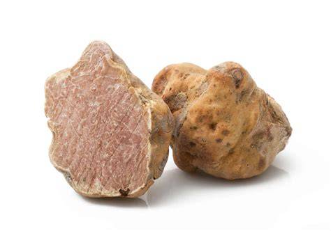 Weiße Alba-Trüffel auf Holzbrett